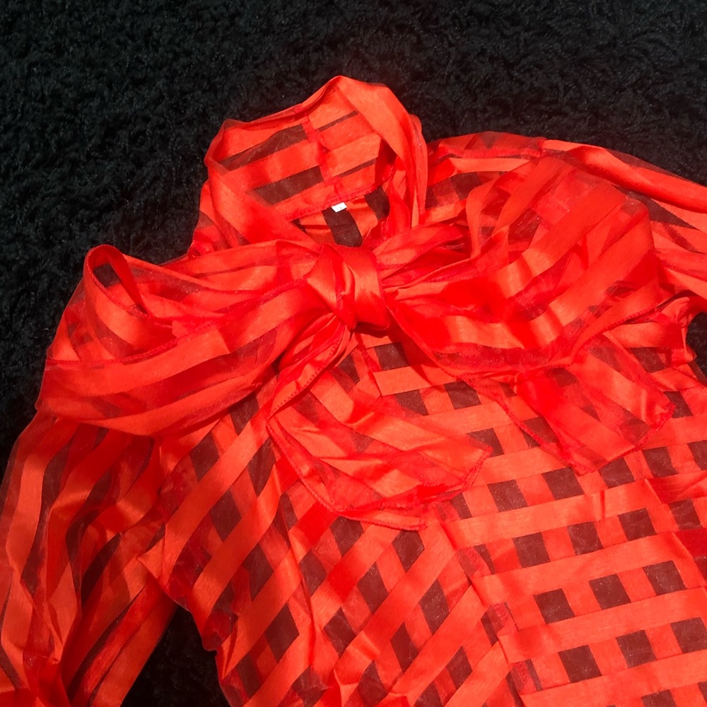 Sheer Red Striped Top w/ Elegant Bow - Picture 2 of 4